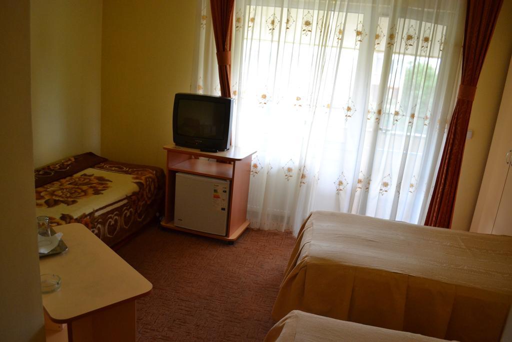 Pension Coral Baia Mare Rom bilde